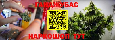 шишки Ипатово