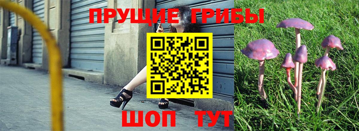 Каспийск  Псилоцибиновые грибы мухоморы  Вход с VPN 