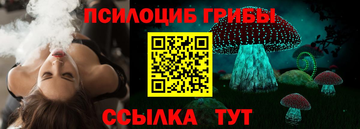 Псилоцибиновые грибы Cubensis Каспийск